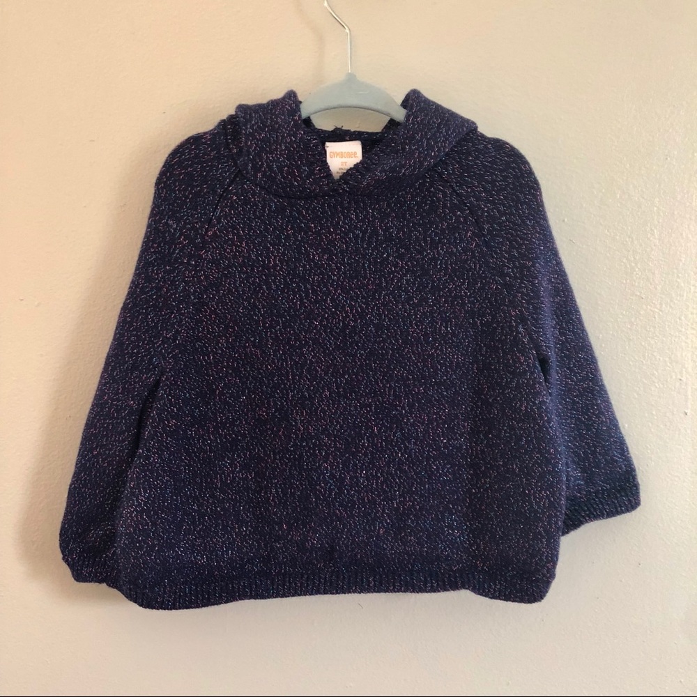 2T Gymboree parka